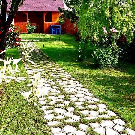 Casa Pavel Jurilovca Villa Kültér fotó
