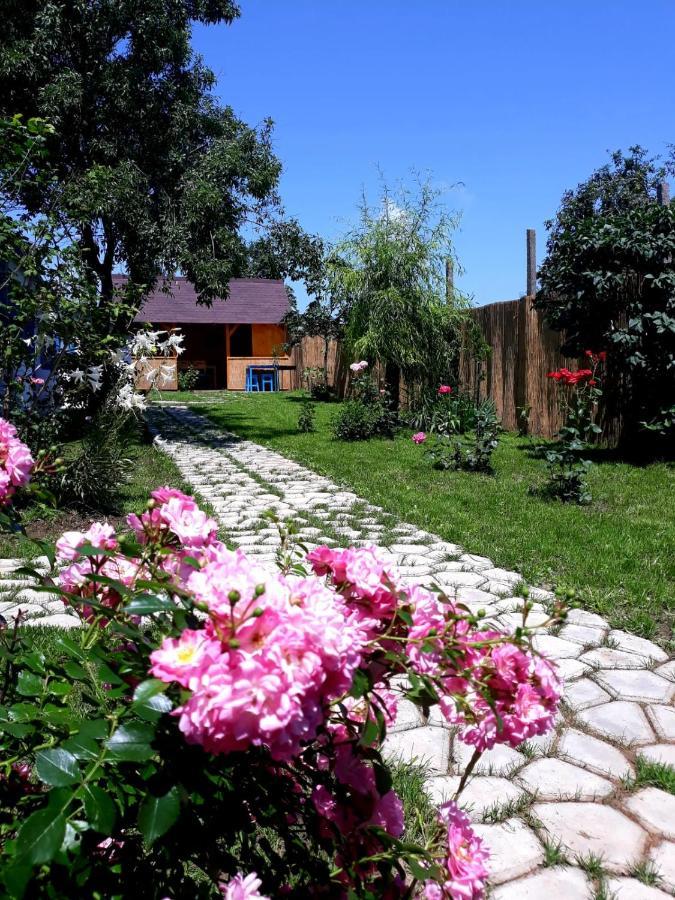 Casa Pavel Jurilovca Villa Kültér fotó