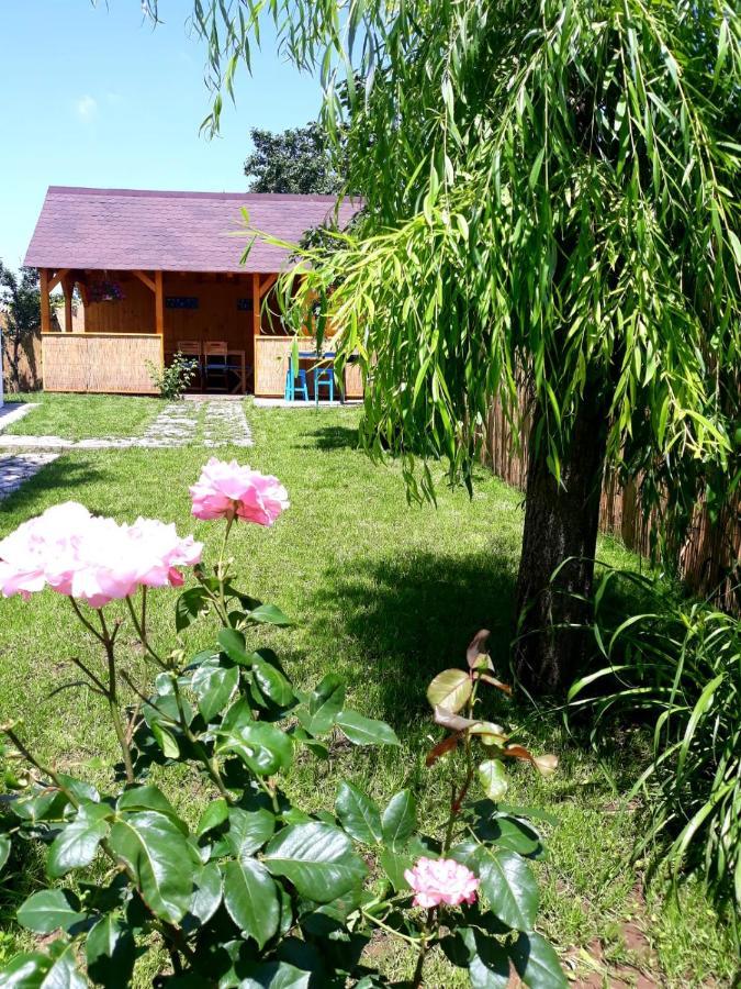 Casa Pavel Jurilovca Villa Kültér fotó