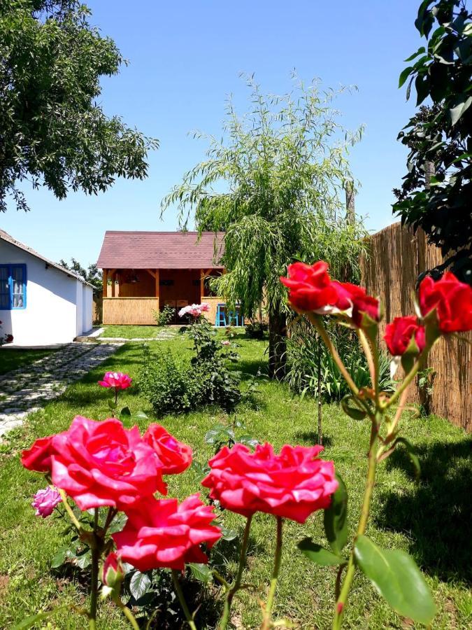 Casa Pavel Jurilovca Villa Kültér fotó