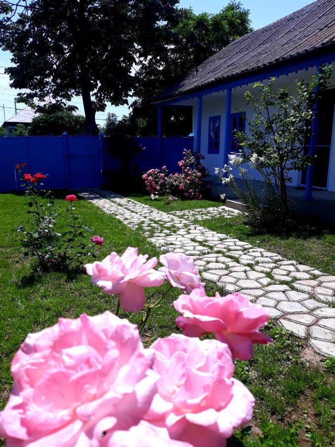 Casa Pavel Jurilovca Villa Kültér fotó