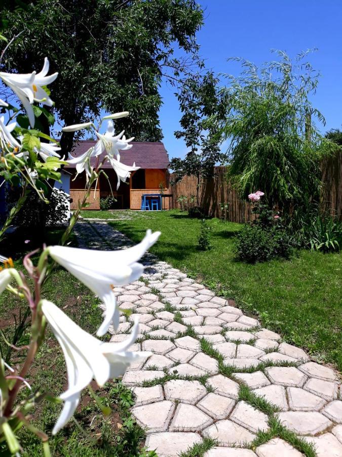 Casa Pavel Jurilovca Villa Kültér fotó